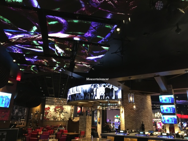 Inside Rock & Brews – snakes on the ceiling and music videos all around – oh hell yeah!